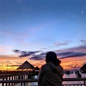 Kết quả bóng chuyề