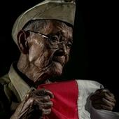 MÈO CHIÊU TÀI