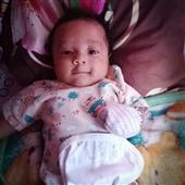 chúc mừng năm mới 