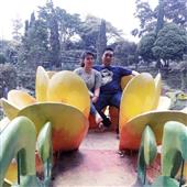 Vương Miện Vàng AT
