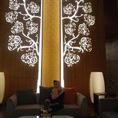 Lão Hổ Tài Lộc