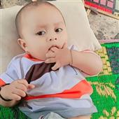 Cuộc thi Tìm hiểu 
