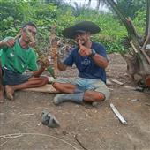 Bàn bóng bàn Harit