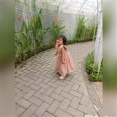 Lễ hội đèn lồng