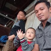 Trang cá cược hợp 