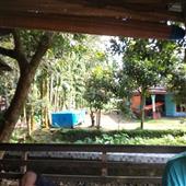 ĐẠI TAM NGUYÊN