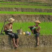 Trận đấu bóng rổ