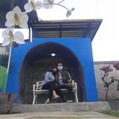 Kết quả bóng bàn h