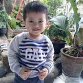 Dự đoán tỷ số Đức