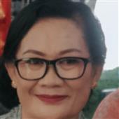 Các đội bóng vô đị
