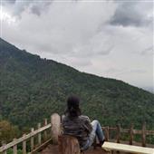 Vàng thần tài