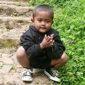 Dự đoán đội vô địc