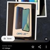 Bảng xếp hạng khu 