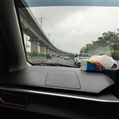 Kho báu bí mật của