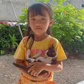 Lưới bóng đá