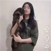 Cầu vồng vàng