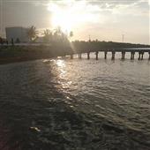 Sòng bạc trực tuyế