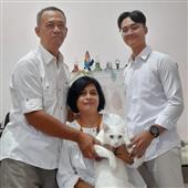 World Cup của niềm