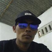 bò