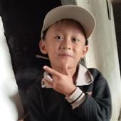 Kim sắc đạo - Hổ