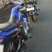 Chú chó may mắn