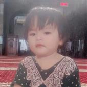 Các giải bóng đá n