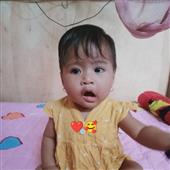 Rừng Nhiệt Đới Độn