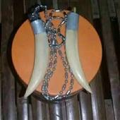 Cực lạc động bàn t