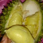 Cơ hội vô địch Ngo