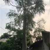 Cách sử dụng tài k