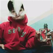 Cá cược bi sắt Cá cược bi sắt