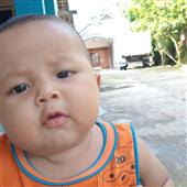 Ngập Tràn Lợn Quý