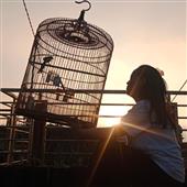 Kẻ Trộm Liều Lĩnh