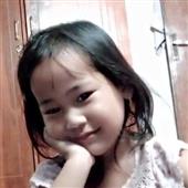 vòng loại giải vô 